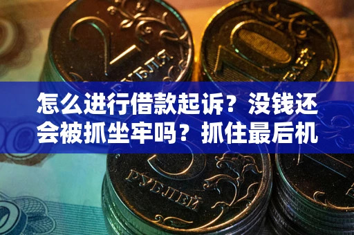 武汉怎么进行借款起诉？没钱还会被抓坐牢吗？抓住最后机会！