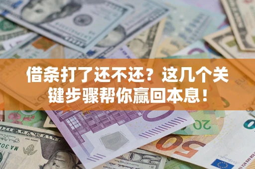 武汉借条打了还不还？这几个关键步骤帮你赢回本息！