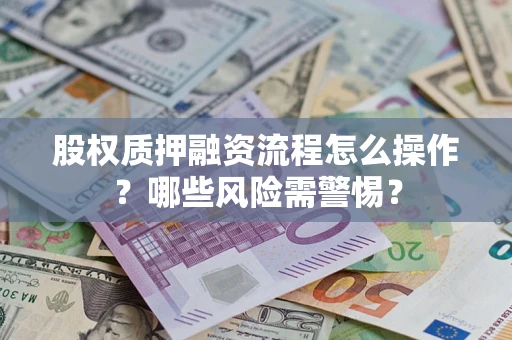 武汉股权质押融资流程怎么操作？哪些风险需警惕？