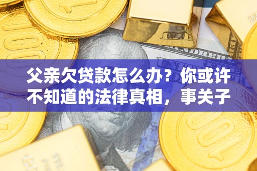 武汉父亲欠贷款怎么办？你或许不知道的法律真相，事关子女未来