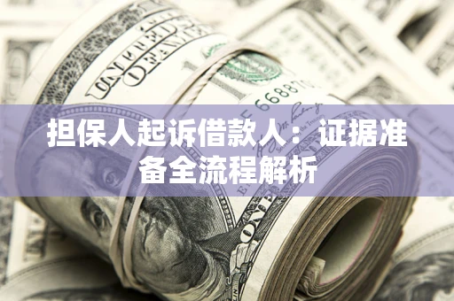 武汉担保人起诉借款人：证据准备全流程解析