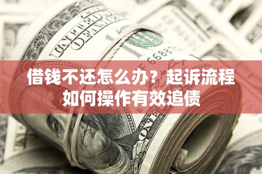武汉借钱不还怎么办？起诉流程如何操作有效追债