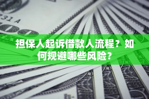 武汉担保人起诉借款人流程？如何规避哪些风险？