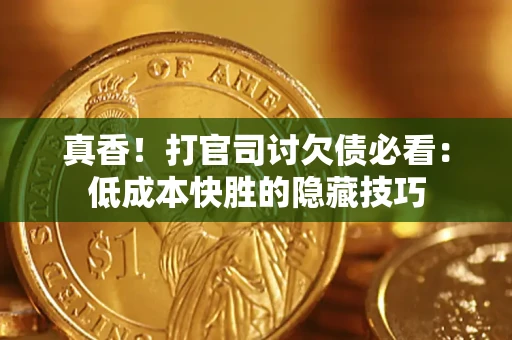 武汉真香！打官司讨欠债必看：低成本快胜的隐藏技巧