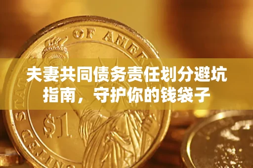 武汉夫妻共同债务责任划分避坑指南，守护你的钱袋子