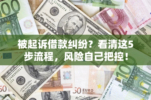 武汉被起诉借款纠纷？看清这5步流程，风险自己把控！