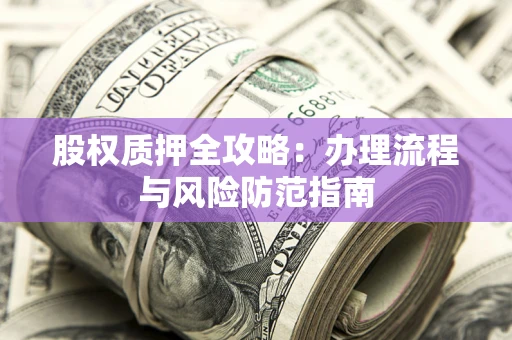 武汉股权质押全攻略：办理流程与风险防范指南