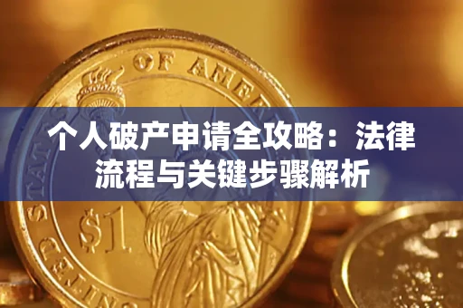 武汉个人破产申请全攻略：法律流程与关键步骤解析