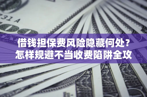 武汉借钱担保费风险隐藏何处？怎样规避不当收费陷阱全攻略！