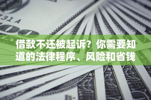 武汉借款不还被起诉？你需要知道的法律程序、风险和省钱技巧