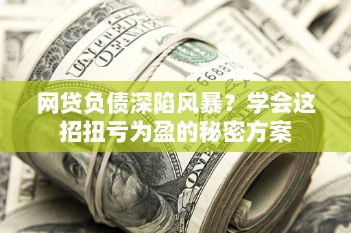 武汉网贷负债深陷风暴？学会这招扭亏为盈的秘密方案